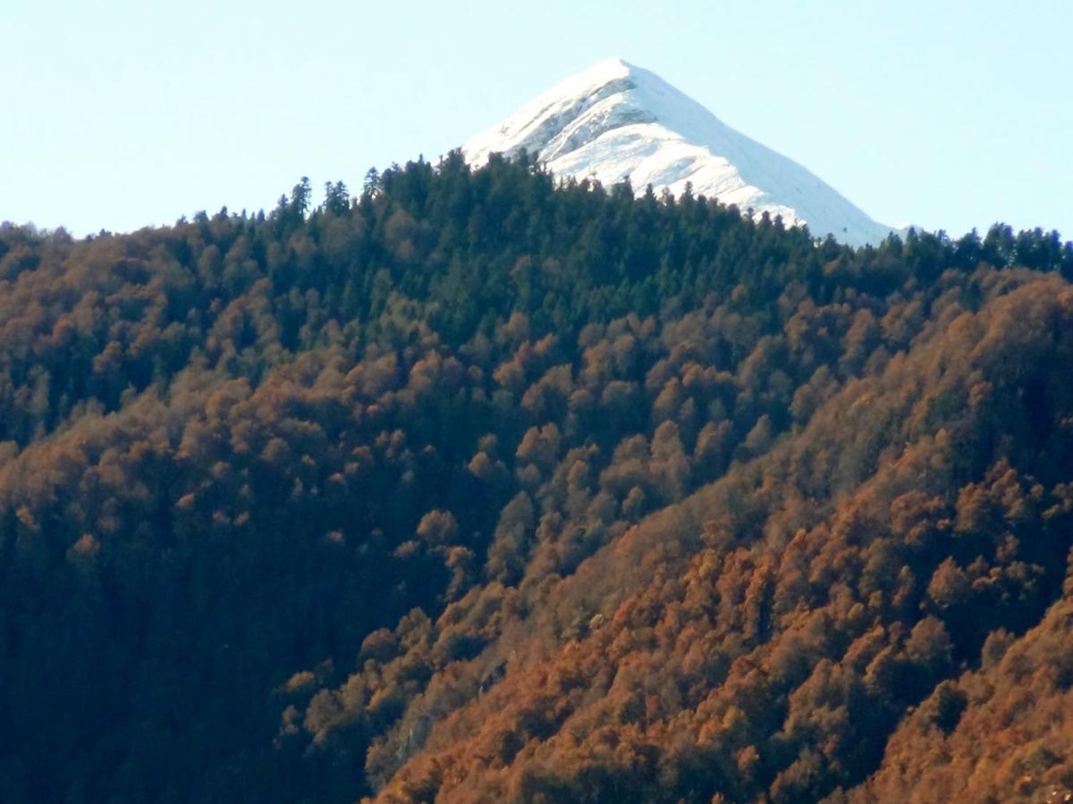 La Bouigane Bed and Breakfast Saint-Lary  Εξωτερικό φωτογραφία